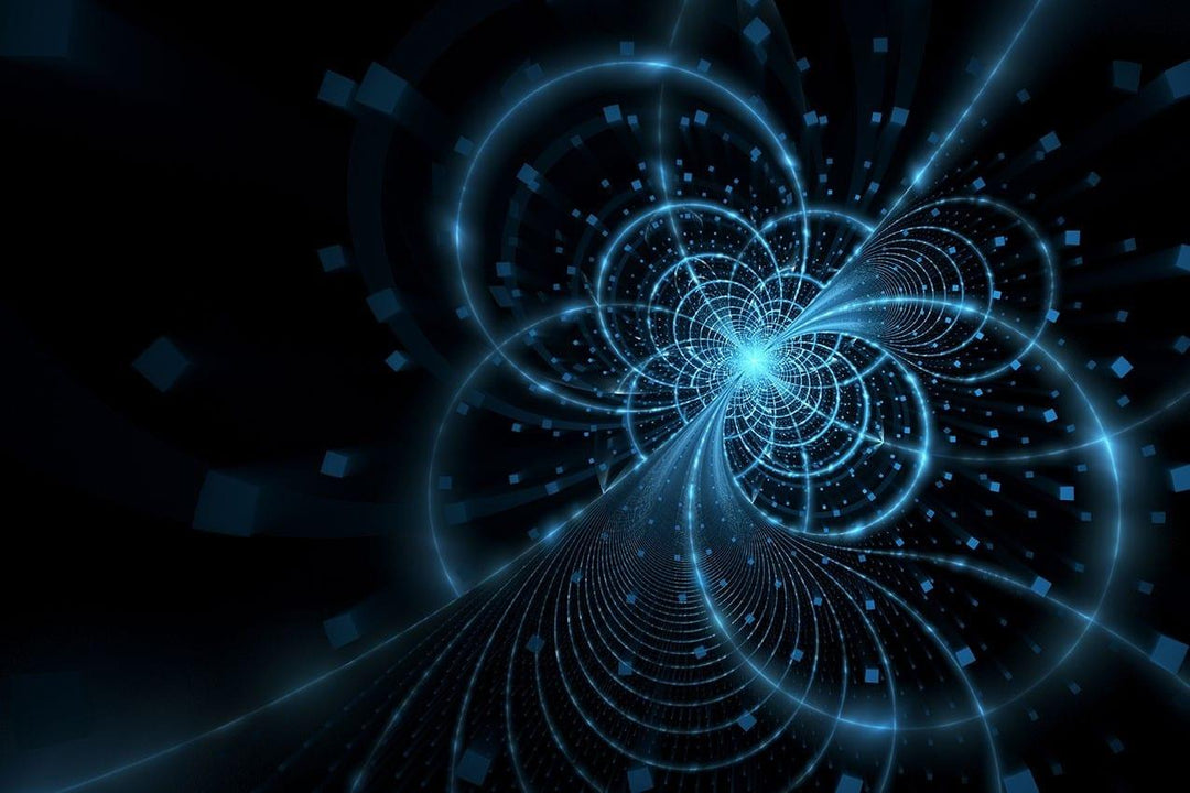 What are IDF's {Intrinsic Data Fields}?