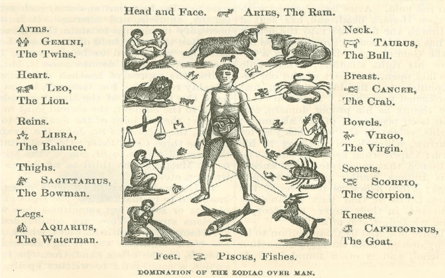 Roots of Medical Astrology | Exotic India Art