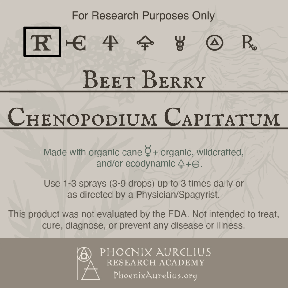 Beet-Berry-Spagyric-Tincture-aurelian-spagyria