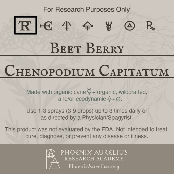 Beet-Berry-Spagyric-Tincture-aurelian-spagyria