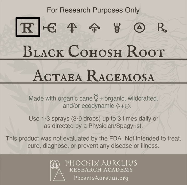 Black-Cohosh-Root-Spagyric-Tincture-aurelian-spagyria