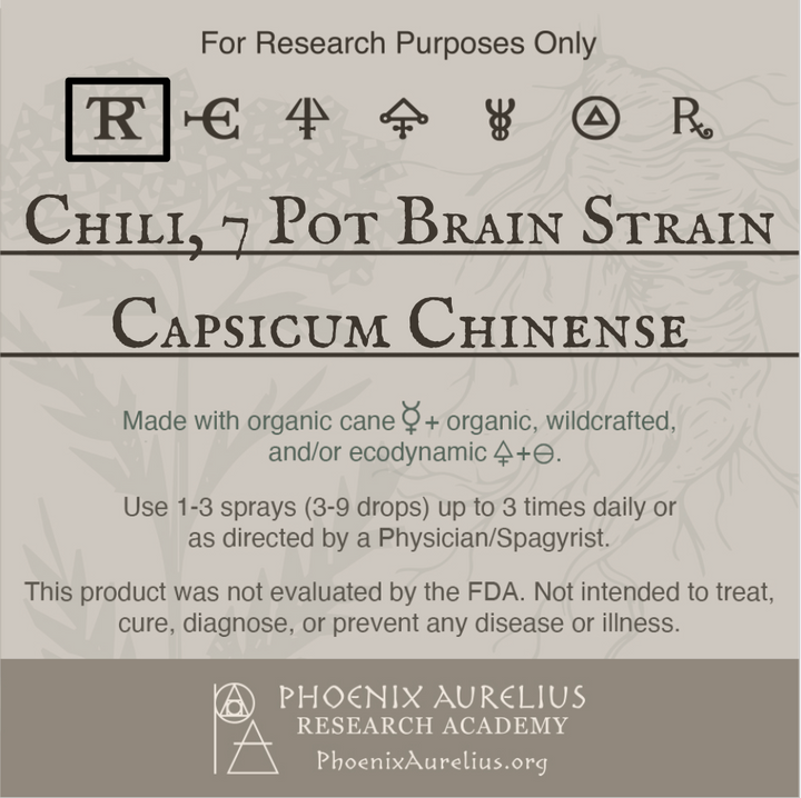 Chili, 7 Pot Brain Strain, Spagyric Tincture
