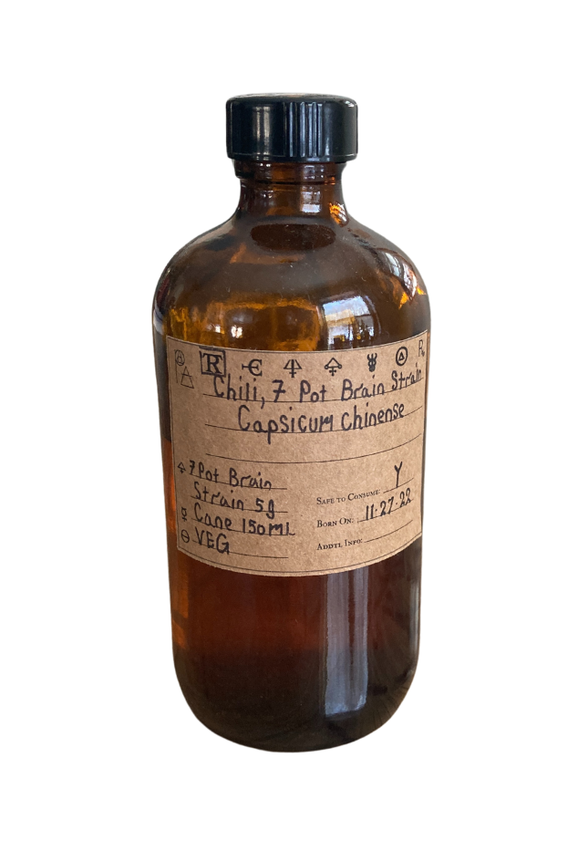 Chili, 7 Pot Brain Strain, Spagyric Tincture