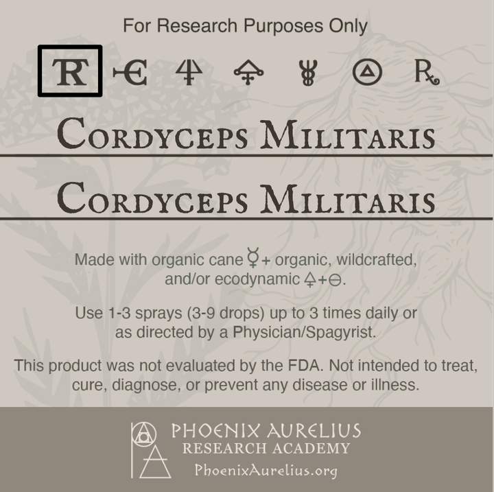 Cordyceps-Militaris-Spagyric-Tincture-aurelian-spagyria