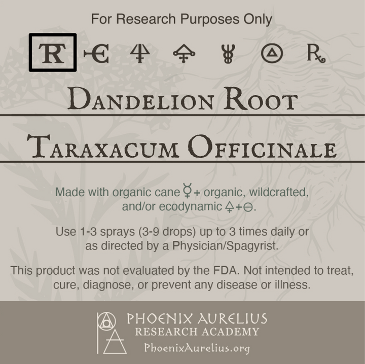 Dandelion-Root-Spagyric-Tincture-aurelian-spagyria