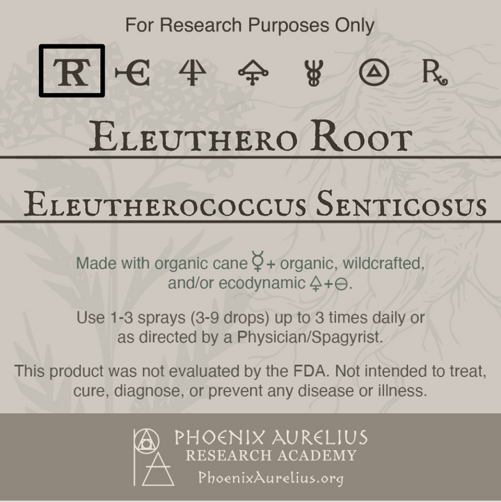 Eleuthero-Root-Spagyric-Tincture-aurelian-spagyria