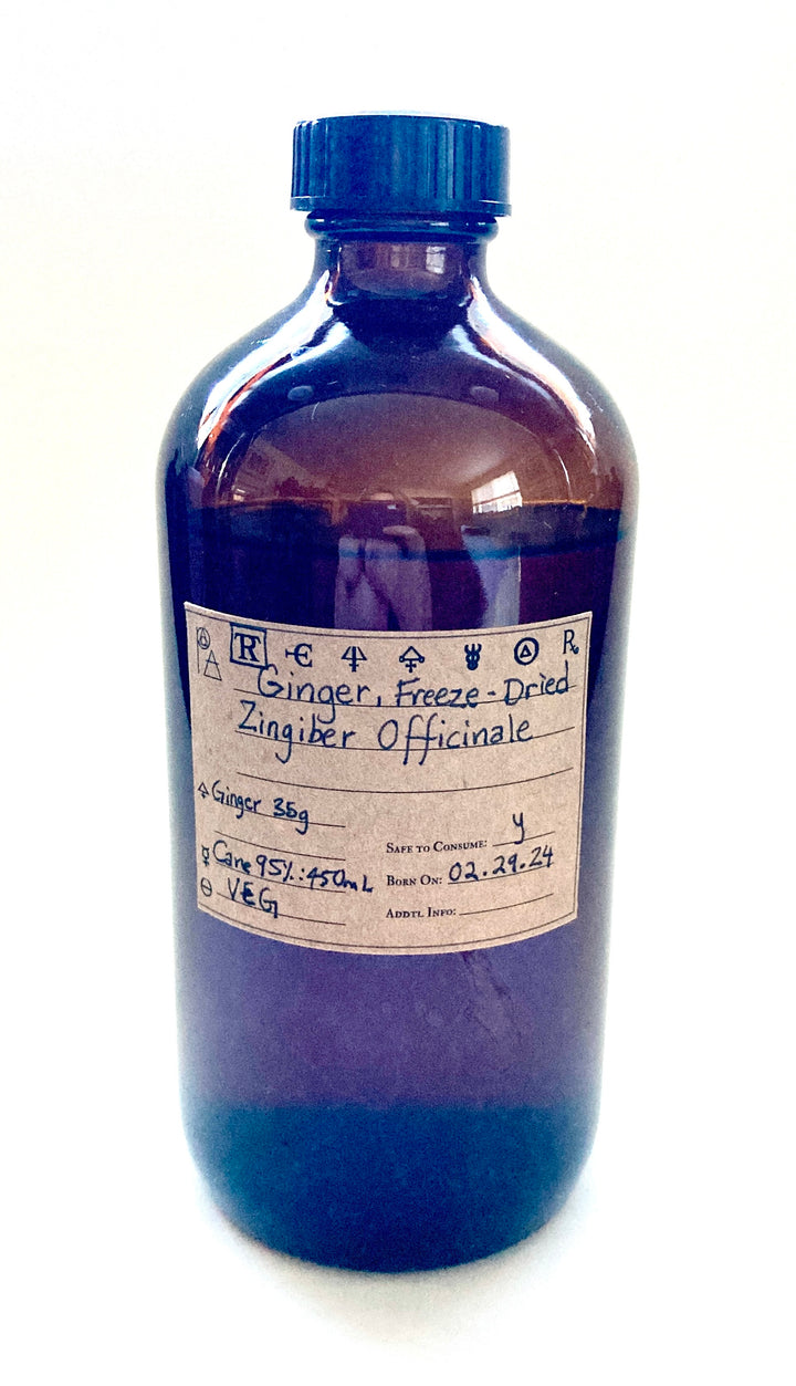 Ginger, Freeze-Dried, Spagyric Tincture