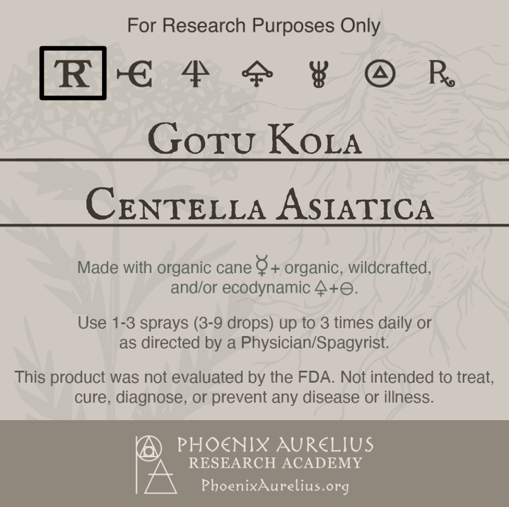 Gotu-Kola-Spagyric-Tincture-aurelian-spagyria