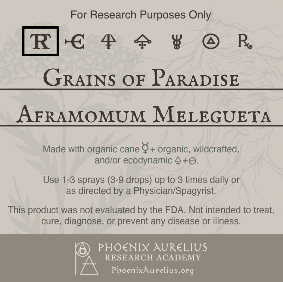Grains-of-Paradise-Spagyric-Tincture-aurelian-spagyria