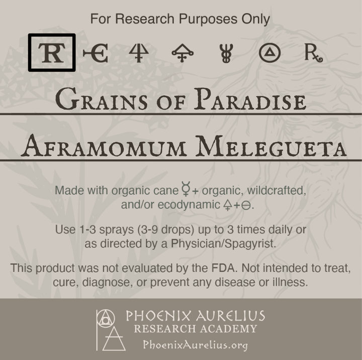 Grains-of-Paradise-Spagyric-Tincture-aurelian-spagyria
