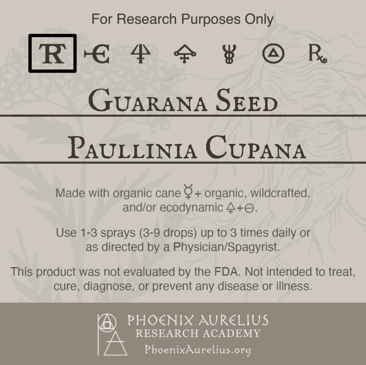Guarana-Seed-Spagyric-Tincture-aurelian-spagyria
