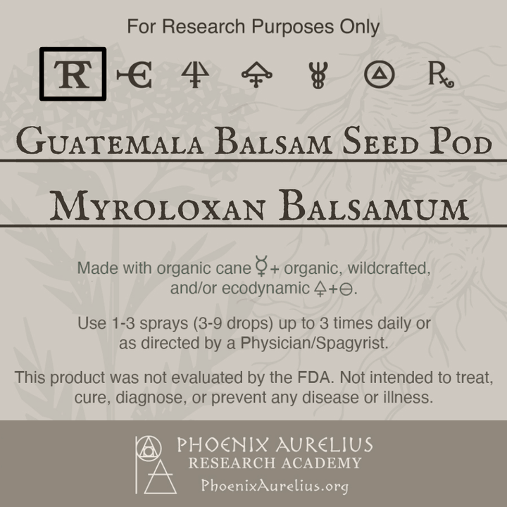 Guatemala-Balsam-Seed-Pod-Spagyric-Tincture-aurelian-spagyria