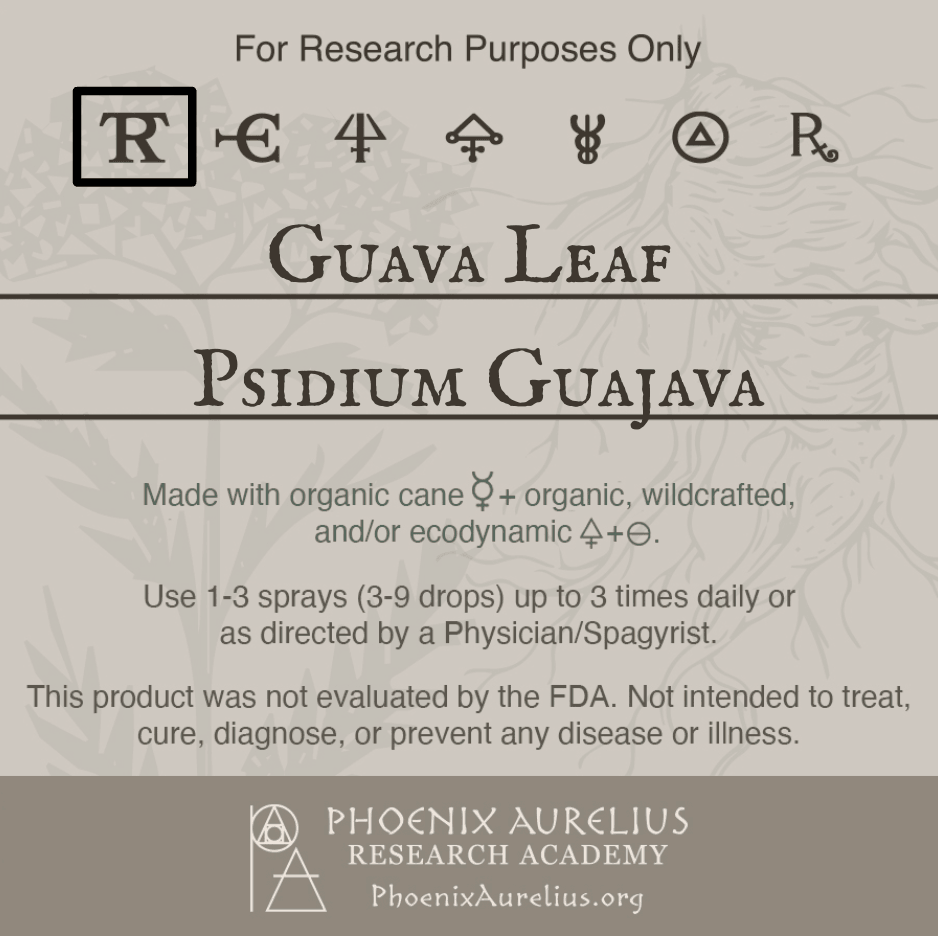 Guava-Leaf-Spagyric-Tincture-aurelian-spagyria