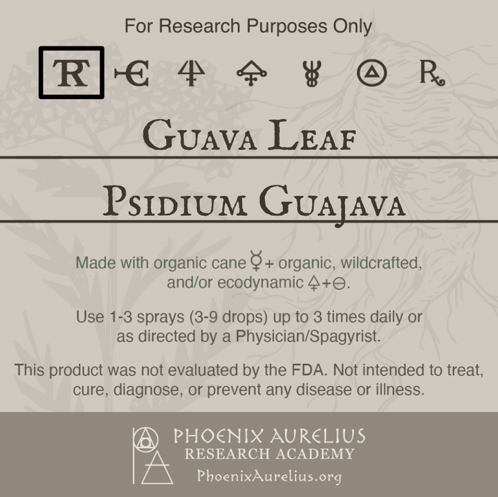 Guava-Leaf-Spagyric-Tincture-aurelian-spagyria