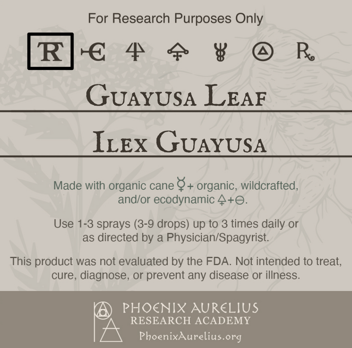 Guayusa-Leaf-Spagyric-Tincture-aurelian-spagyria
