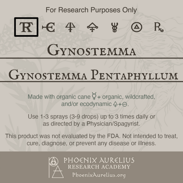 Gynostemma-Spagyric-Tincture-aurelian-spagyria