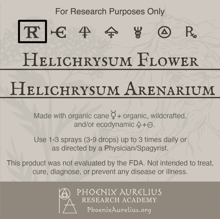 Helichrysum-Flower-Spagyric-Tincture-aurelian-spagyria