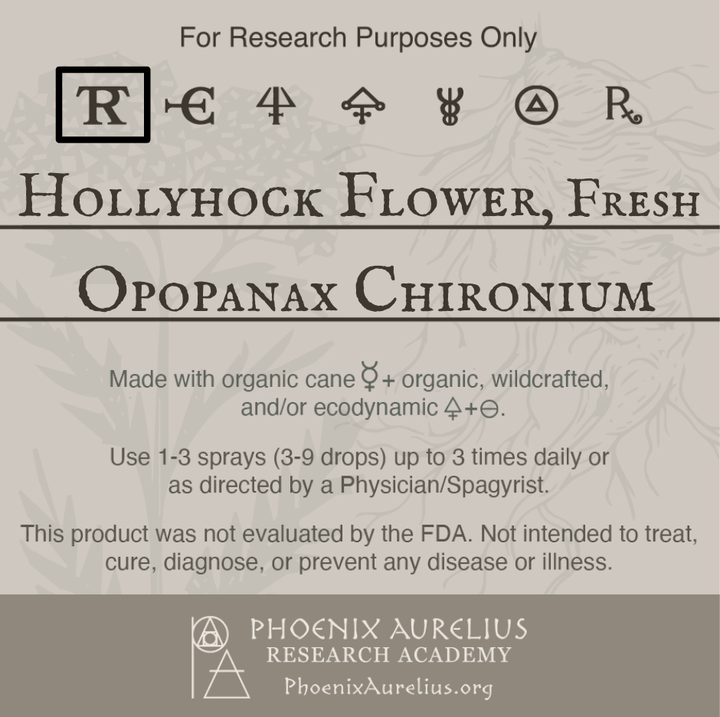 Hollyhock-Flower-Fresh-Spagyric-Tincture-aurelian-spagyria