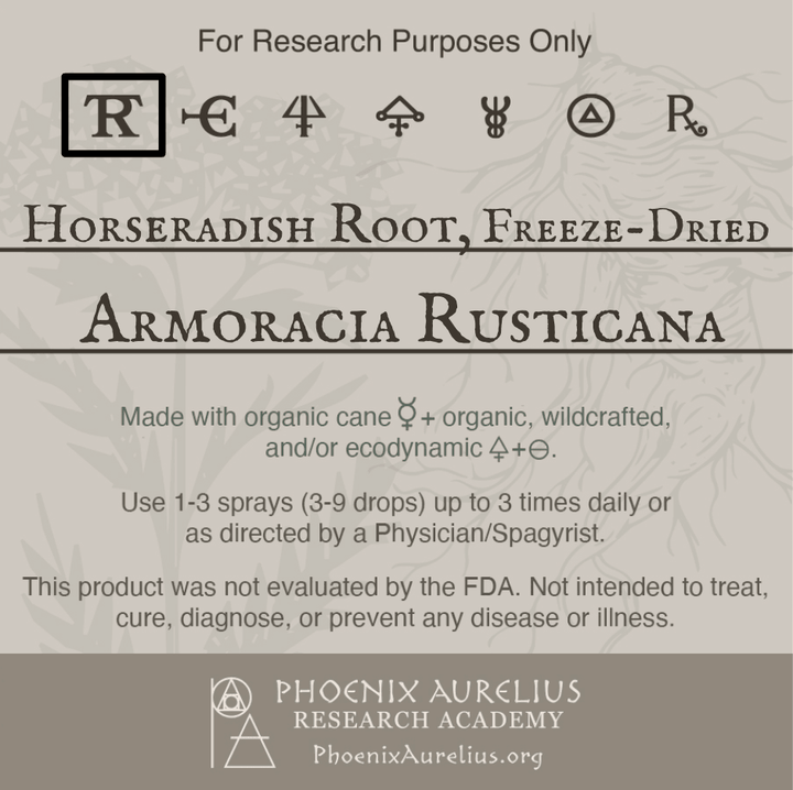 Horseradish-Root-Freeze-Dried-Spagyric-Tincture-aurelian-spagyria