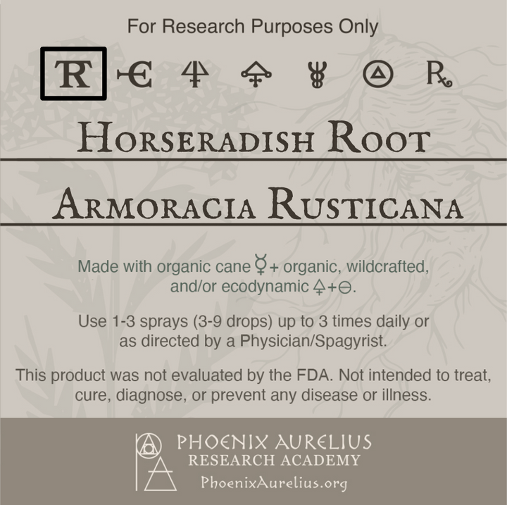 Horseradish-Root-Spagyric-Tincture-aurelian-spagyria