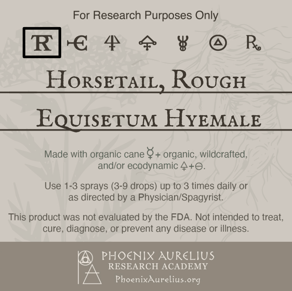 Horsetail-Rough-Spagyric-Tincture-aurelian-spagyria