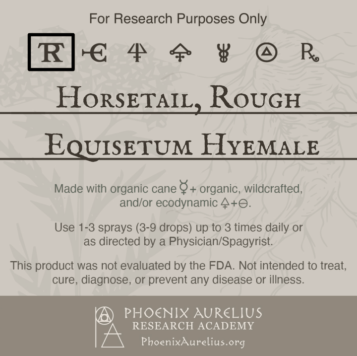 Horsetail-Rough-Spagyric-Tincture-aurelian-spagyria