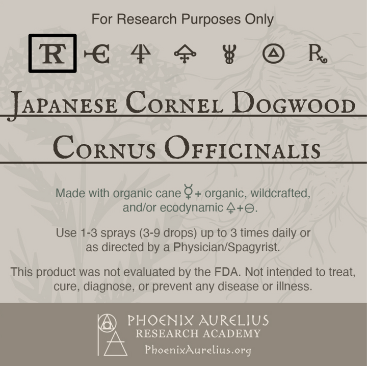 Japanese-Cornel-Dogwood-Spagyric-Tincture-aurelian-spagyria