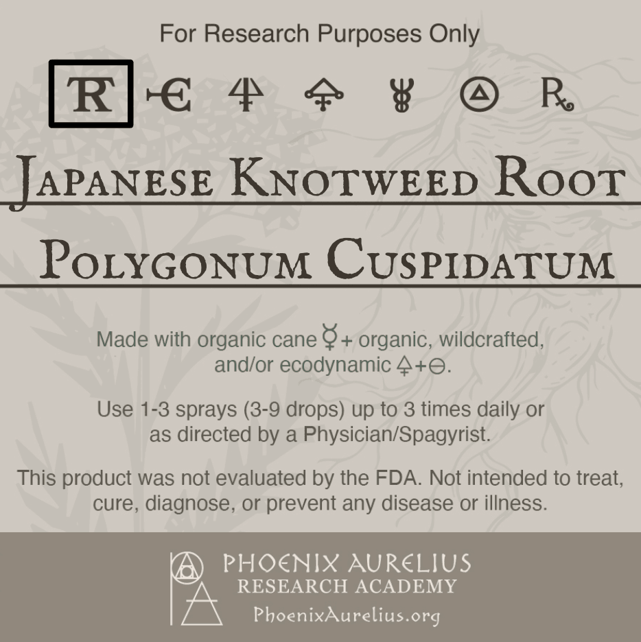 Japanese-Knotweed-Root-Spagyric-Tincture-aurelian-spagyria