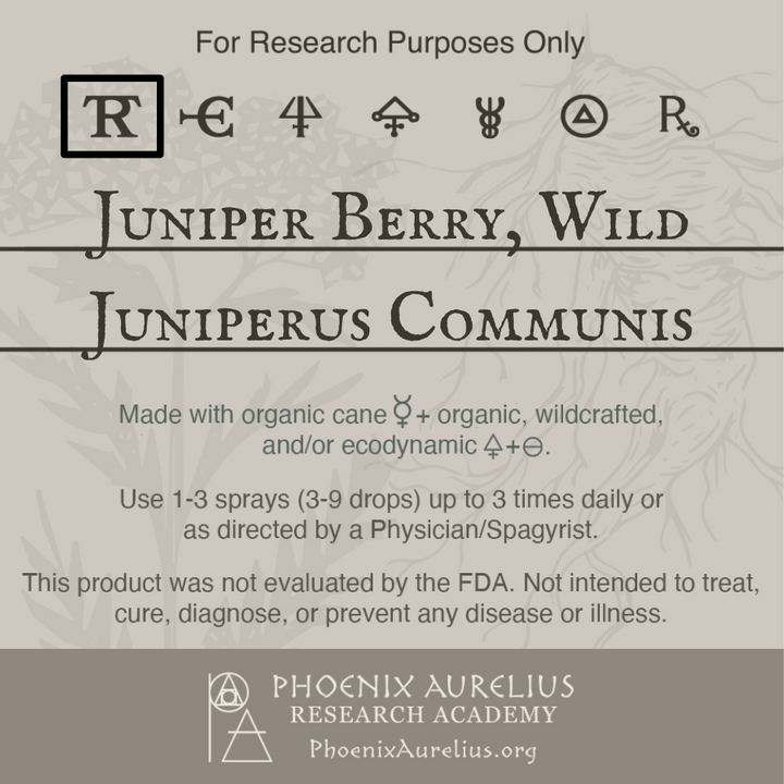 Juniper-Berry-Wild-Spagyric-Tincture-aurelian-spagyria
