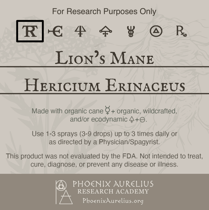 Lions-Mane-Spagyric-Tincture-aurelian-spagyria