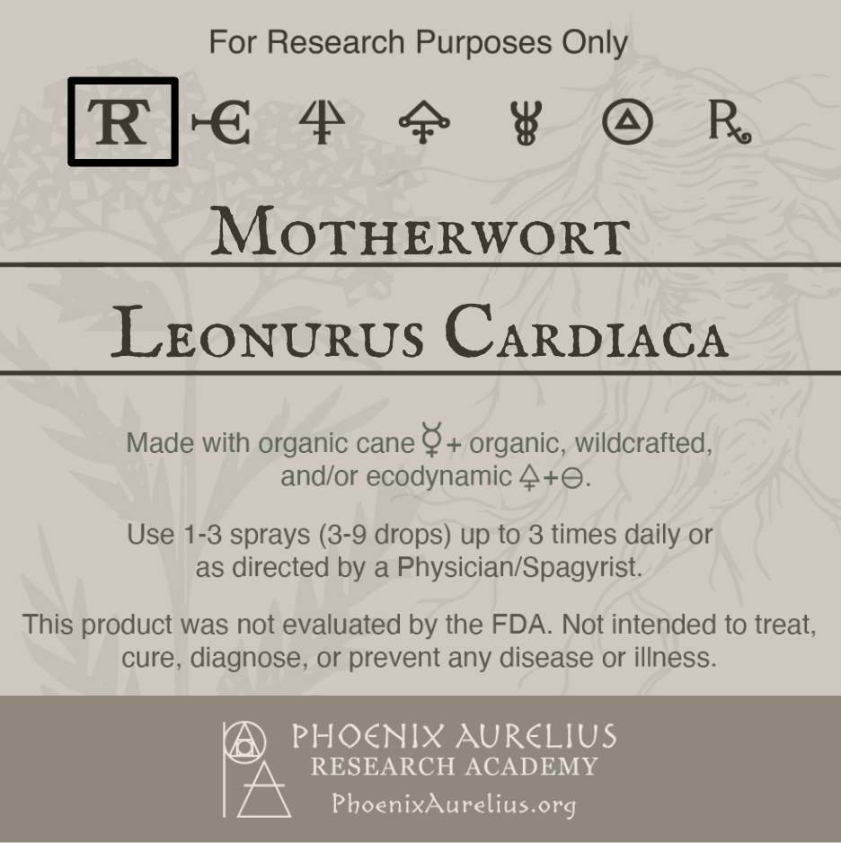 Motherwort-Spagyric-Tincture-aurelian-spagyria