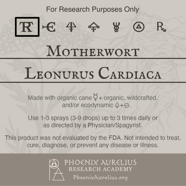 Motherwort-Spagyric-Tincture-aurelian-spagyria