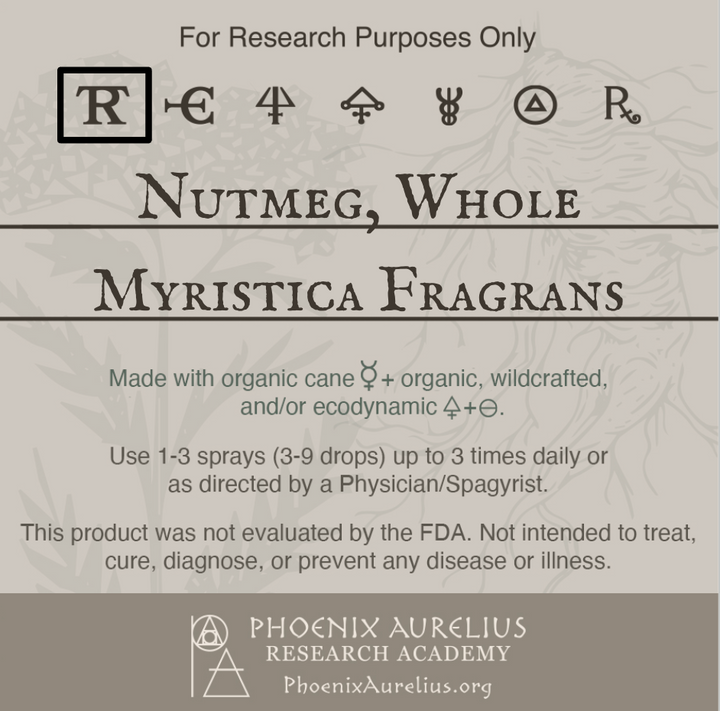 Nutmeg-Whole-Spagyric-Tincture-aurelian-spagyria