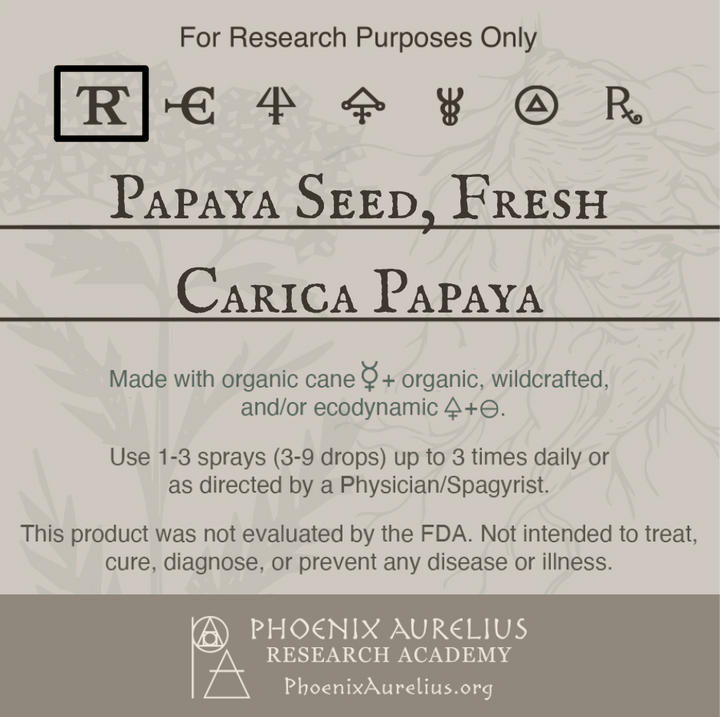 Papaya-Seed-Fresh-Spagyric-Tincture-aurelian-spagyria