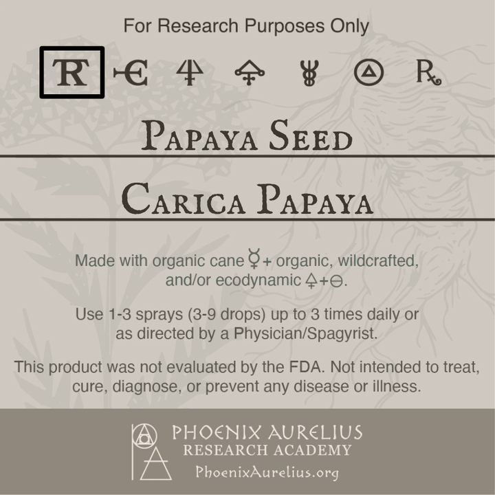 Papaya-Seed-Spagyric-Tincture-aurelian-spagyria