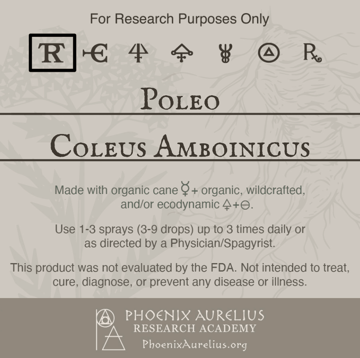 Poleo-Spagyric-Tincture-aurelian-spagyria