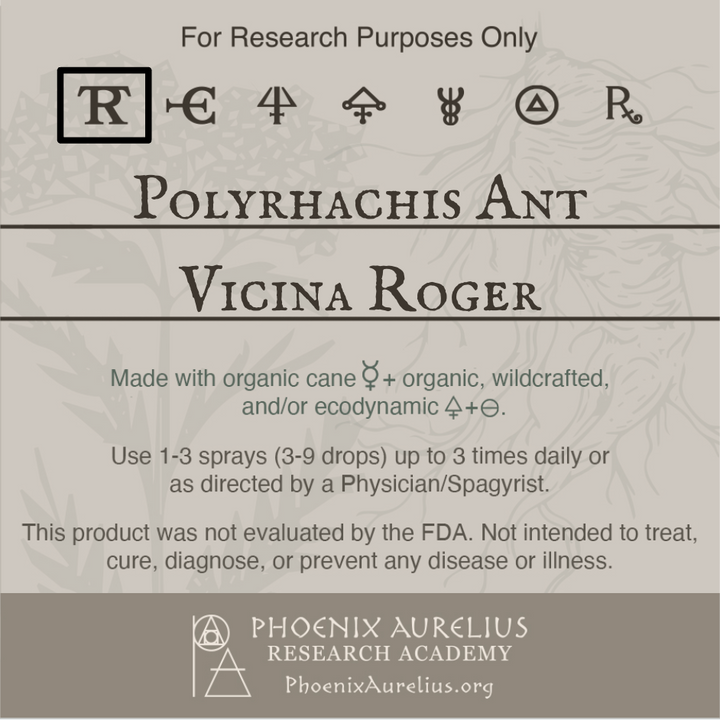 Polyrhachis Ant Spagyric Tincture