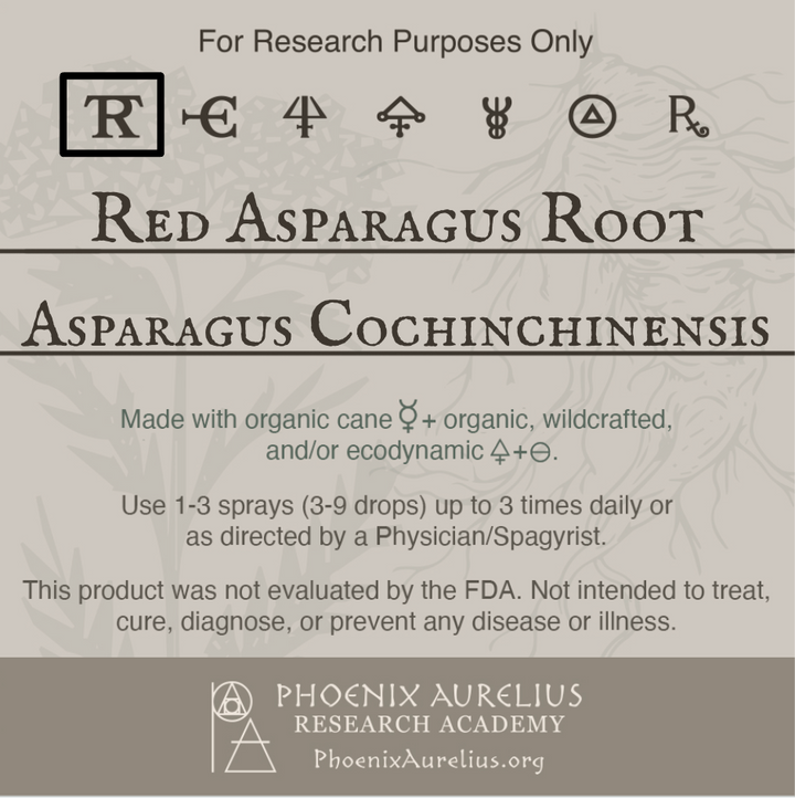 Red-Asparagus-Root-Spagyric-Tincture-aurelian-spagyria