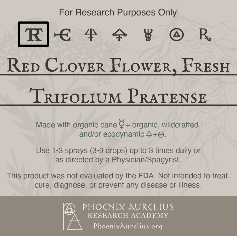 Red-Clover-Flower-Fresh-Spagyric-Tincture-aurelian-spagyria