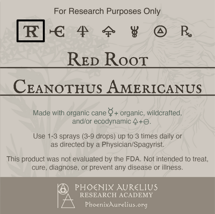 Red-Root-Spagyric-Tincture-aurelian-spagyria