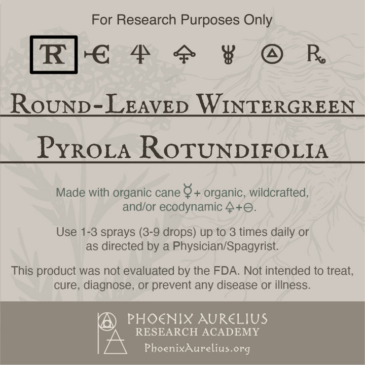 Round-Leaved  Wintergreen Spagyric Tincture