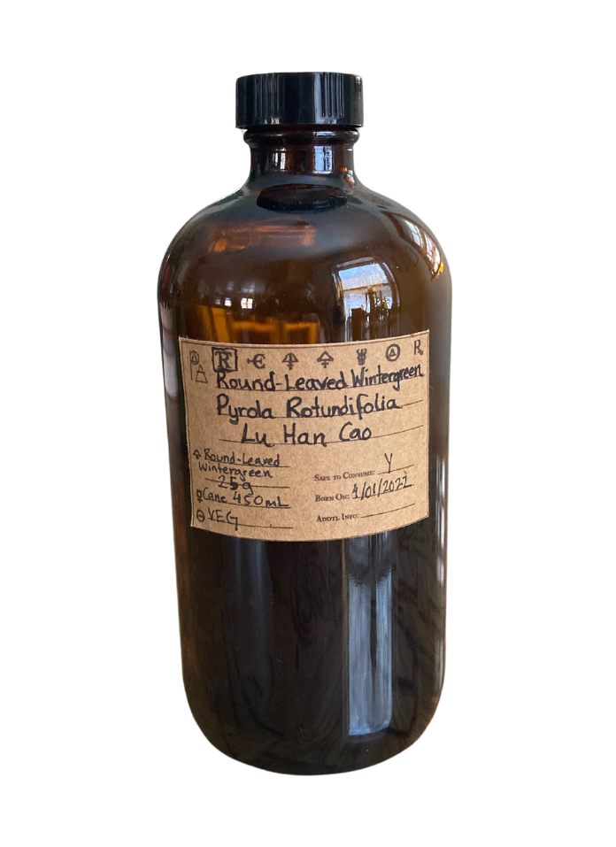 Round-Leaved  Wintergreen Spagyric Tincture