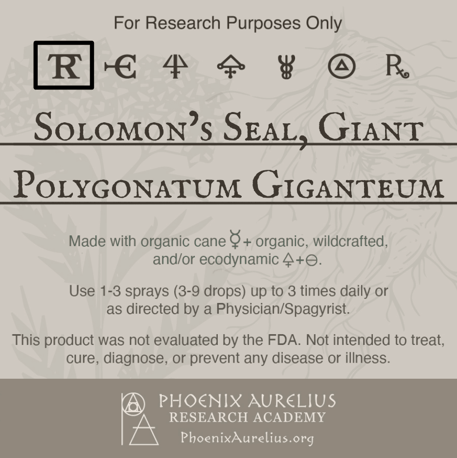 Solomons-Seal-Giant-Spagyric-Tincture-aurelian-spagyria