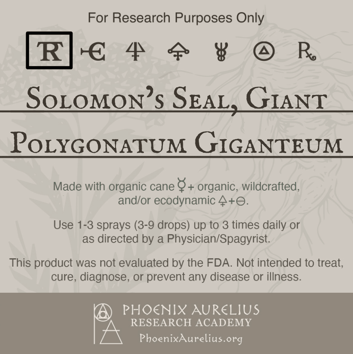 Solomons-Seal-Giant-Spagyric-Tincture-aurelian-spagyria