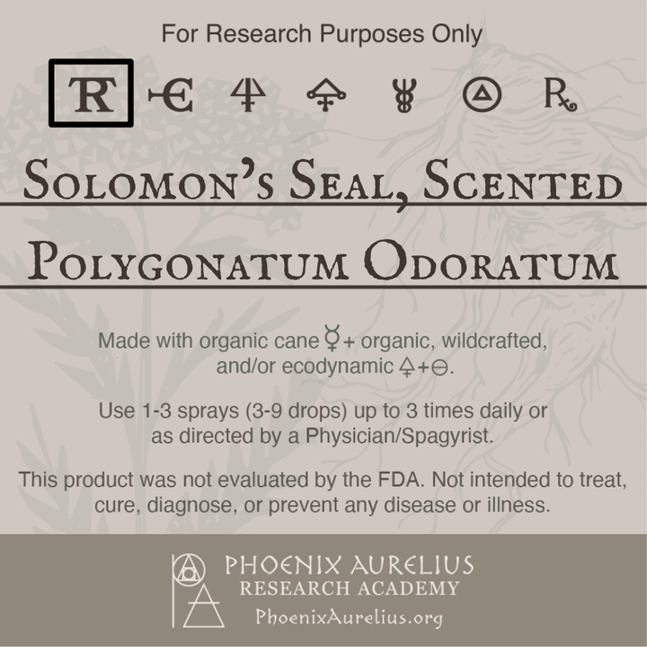 Solomons-Seal-Scented-Spagyric-Tincture-aurelian-spagyria