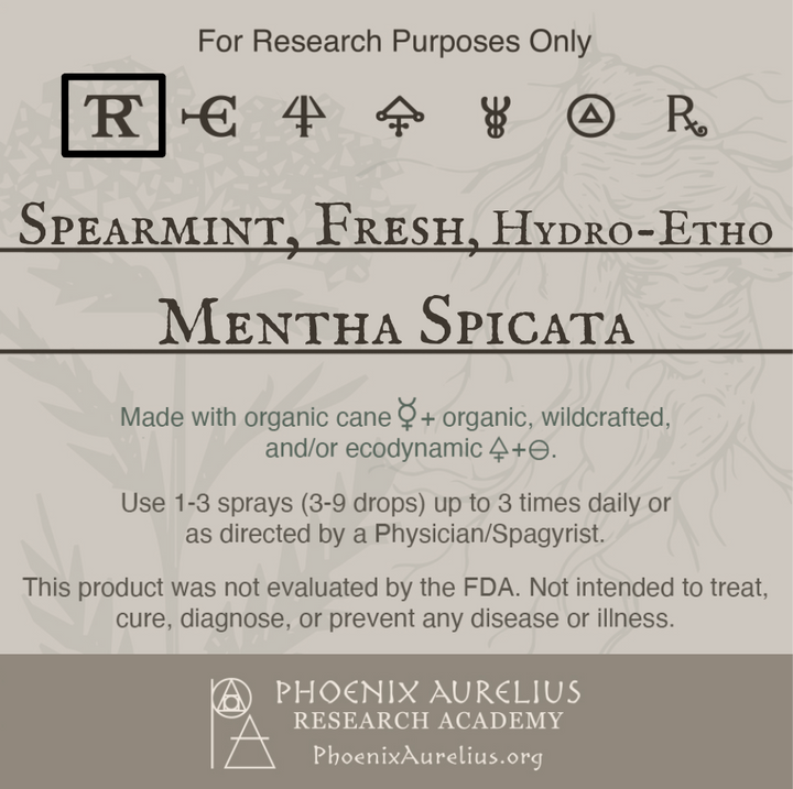 Spearmint-Fresh-Hydroethanolic-Spagyric-Tincture-aurelian-spagyria