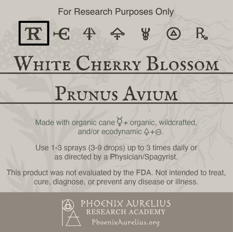 White-Cherry-Blossom-Spagyric-Tincture-aurelian-spagyria