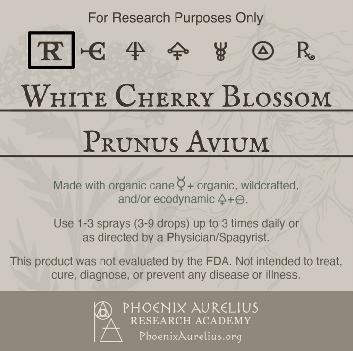 White-Cherry-Blossom-Spagyric-Tincture-aurelian-spagyria