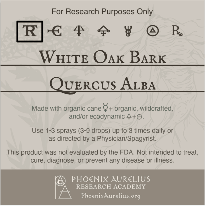 White-Oak-Bark-Spagyric-Tincture-aurelian-spagyria