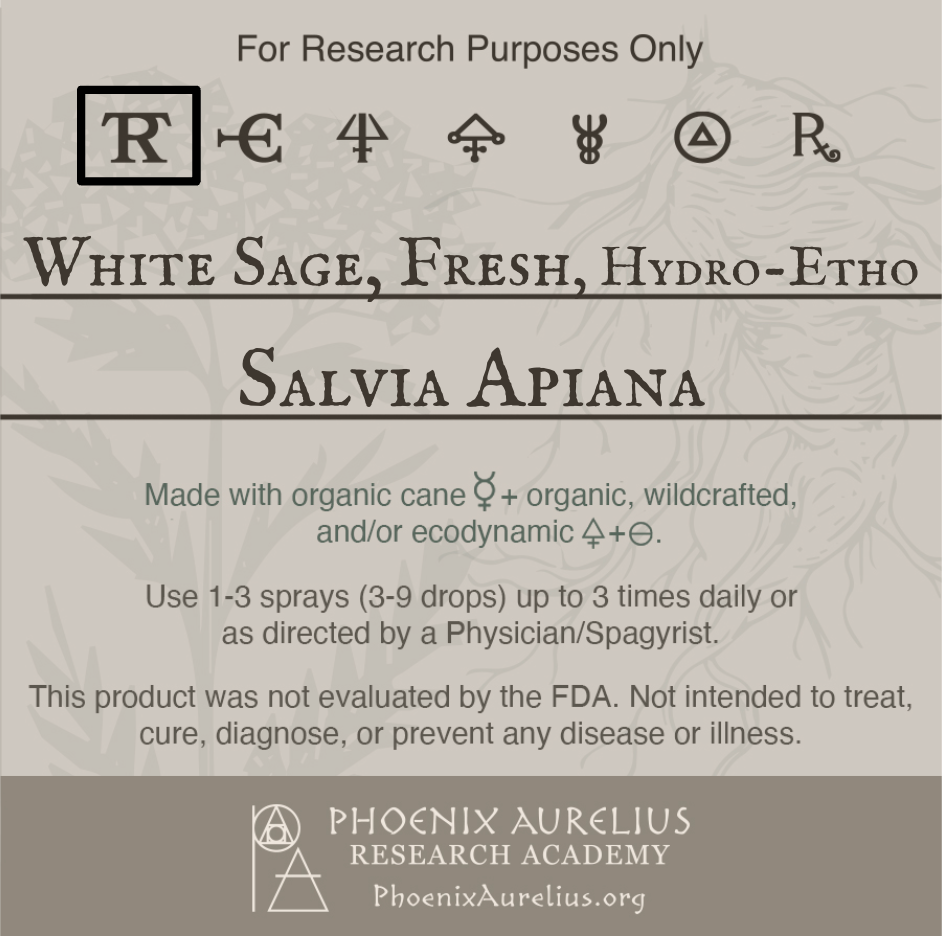 White-Sage-Fresh-Hydroethanolic-Spagyric-Tincture-aurelian-spagyria